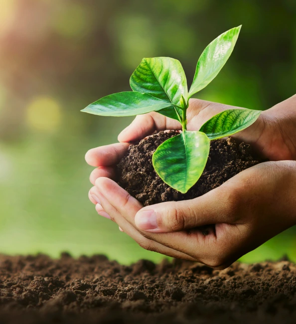 image-sustainability-2