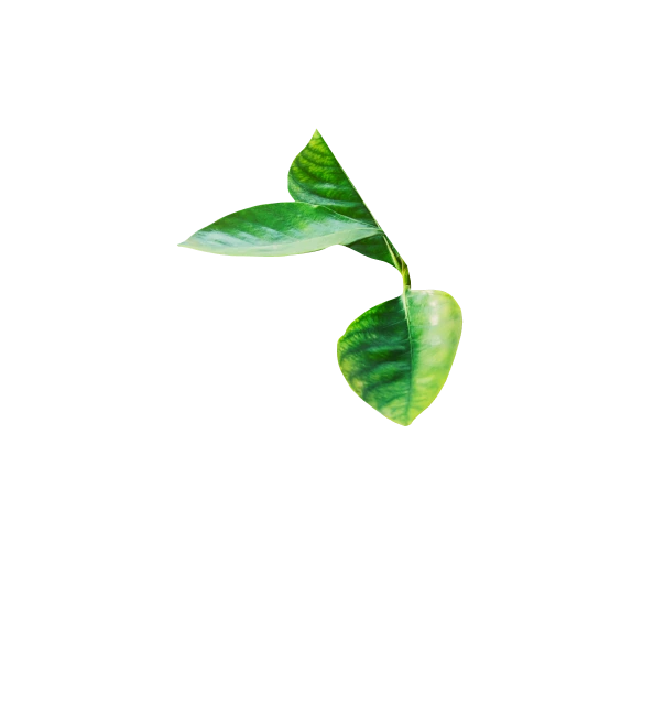 image-sustainability-2