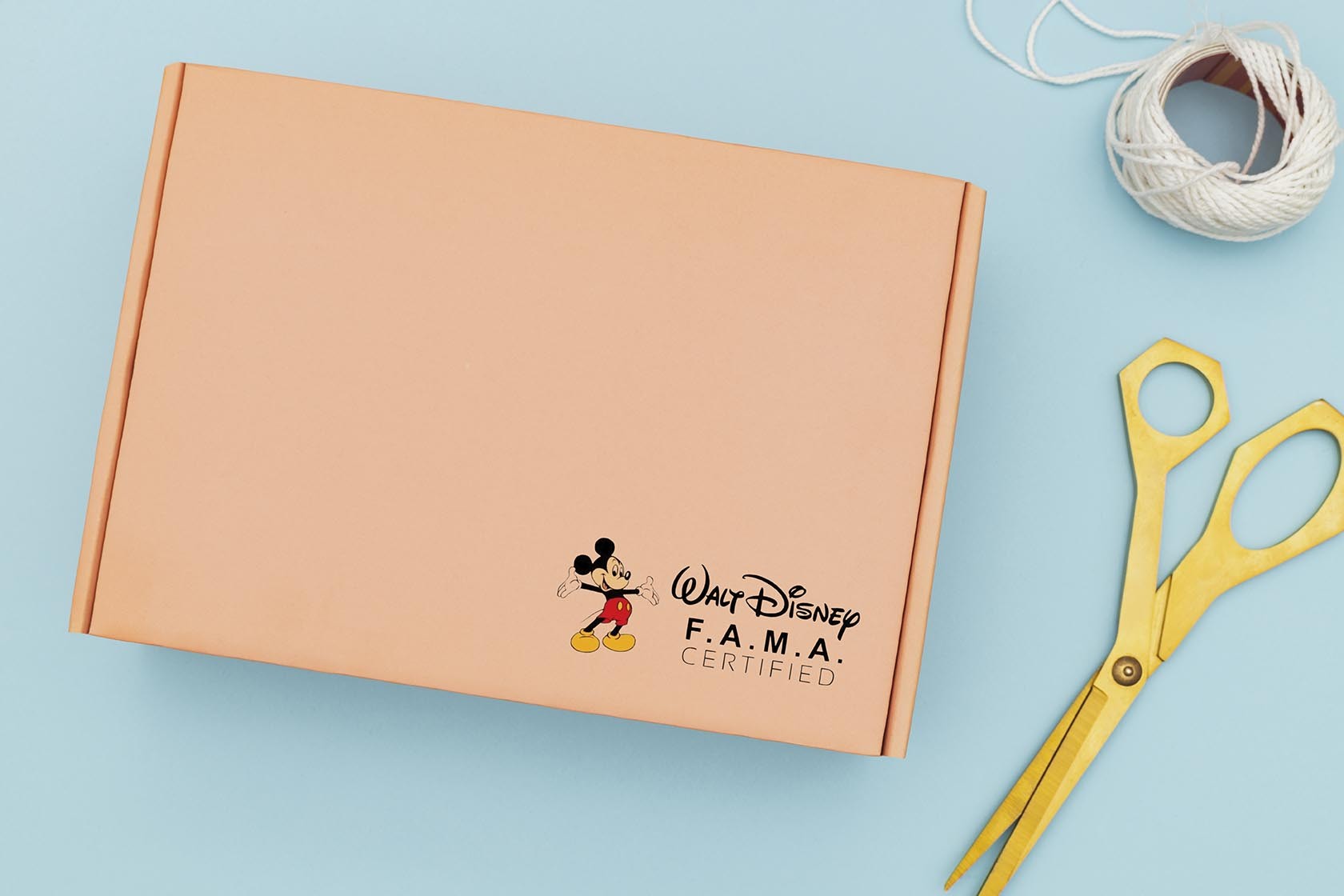 Certificação Disney/Fama Unidade Sobral