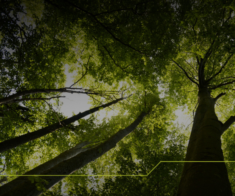 Carton PACK lança o relatório de Sustentabilidade 2025: compromisso que gera impacto